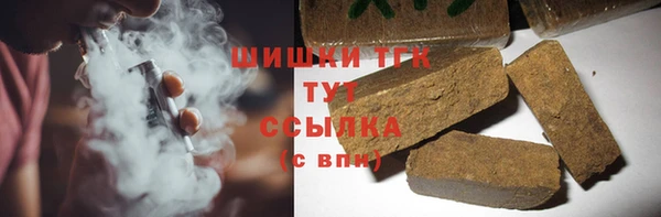 прущие грибы Белокуриха