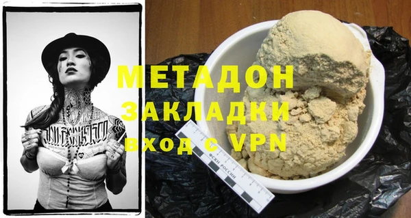 прущие грибы Белокуриха