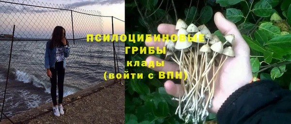 марки nbome Беломорск