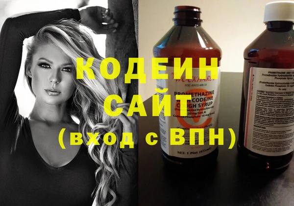 прущие грибы Белокуриха