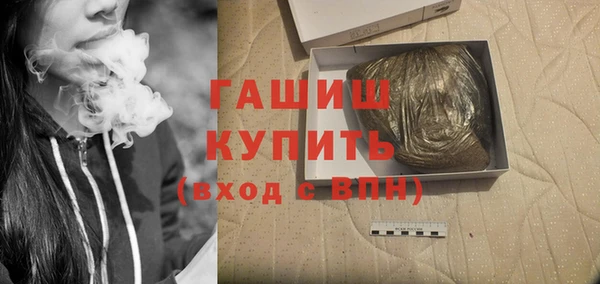 прущие грибы Белокуриха