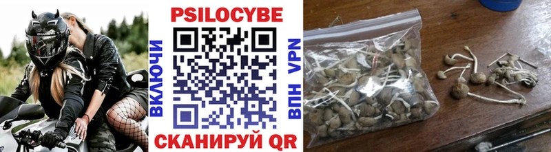магазин продажи наркотиков Высоковск Псилоцибиновые грибы GOLDEN TEACHER